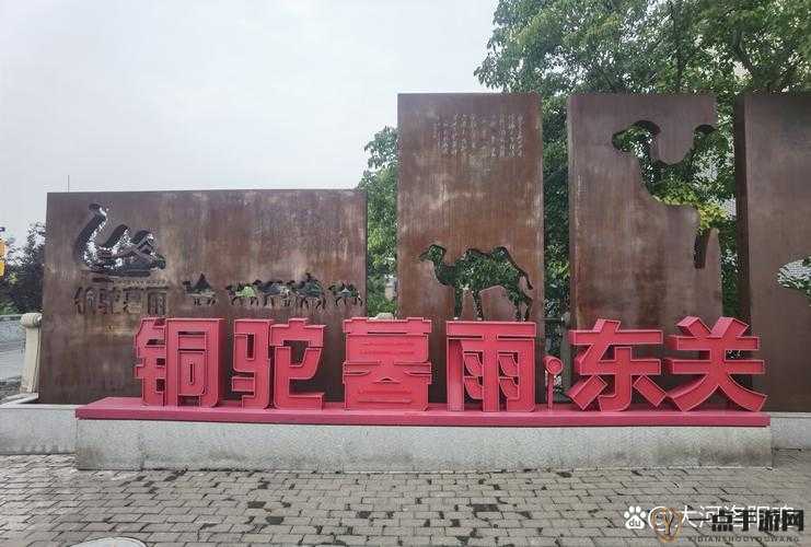 铜铜铜锵锵锵锵：一场独特音律背后的奇妙探索之旅